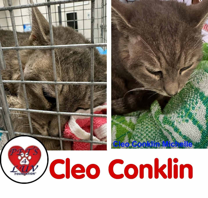 Photo of Cleo Conklin