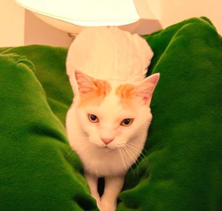 Photo of Zan