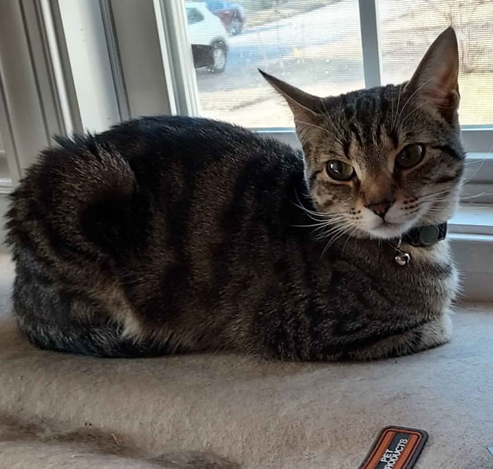 Photo of Percy