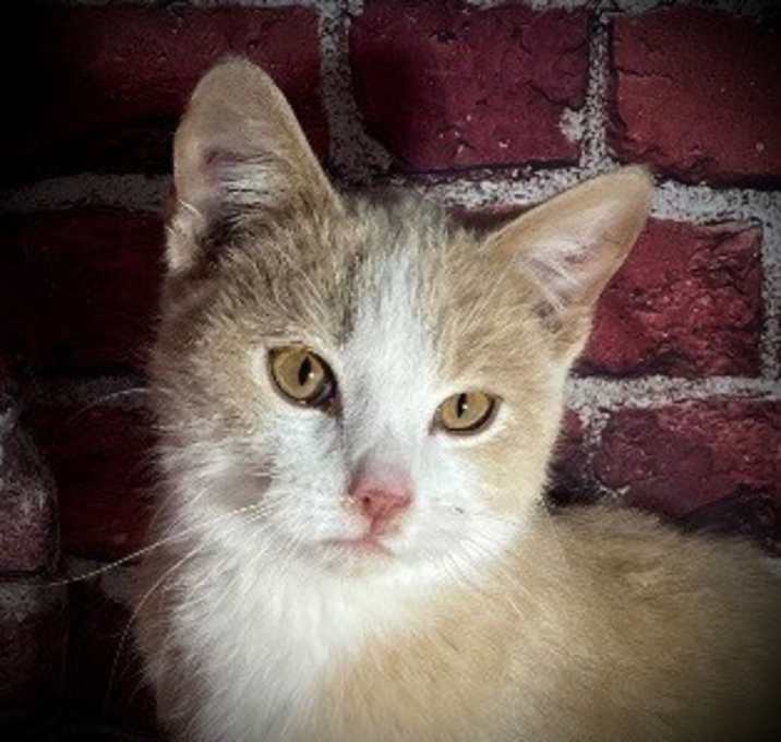 Photo of Larry