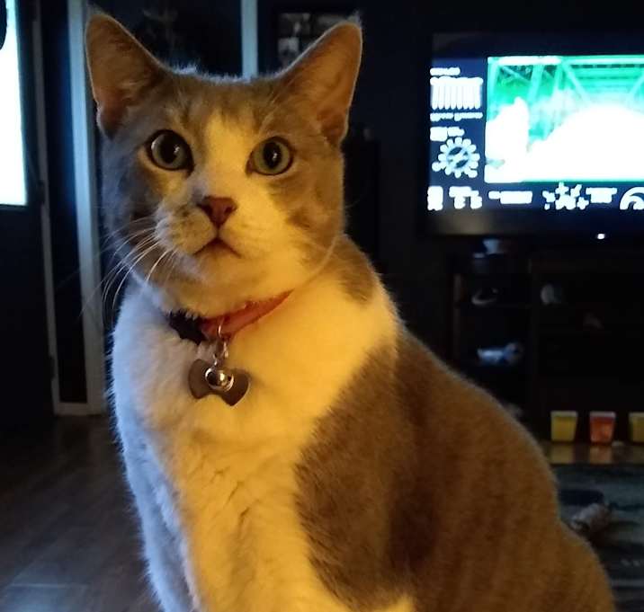 Photo of Max