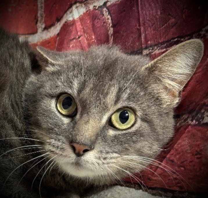 Photo of Grace