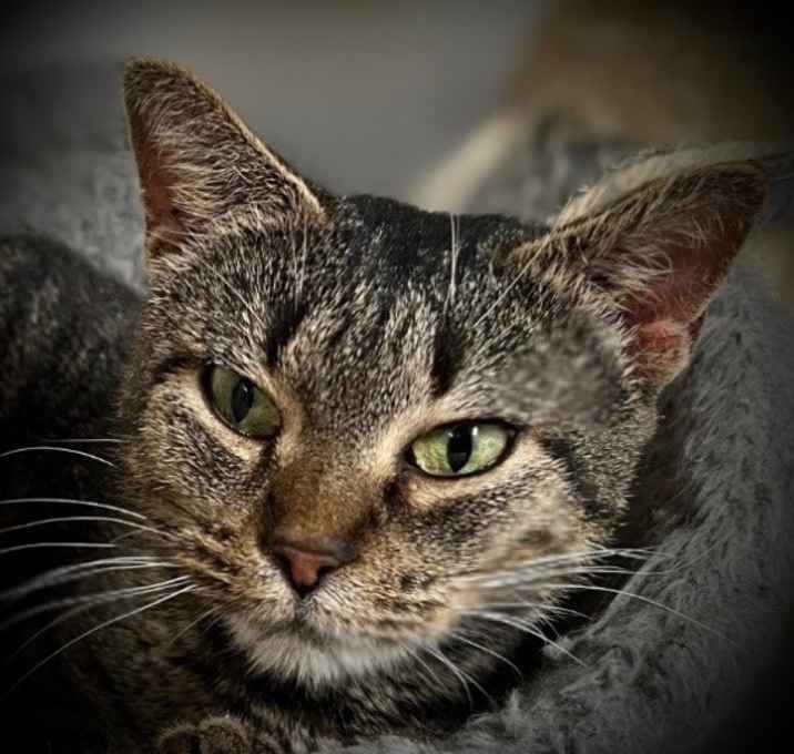 Photo of Tabitha "Tabi
