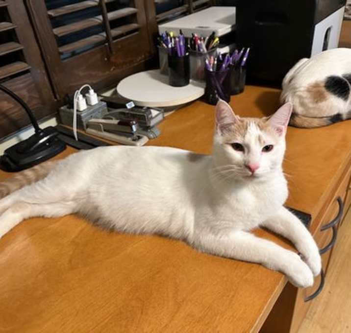 Photo of Fiona