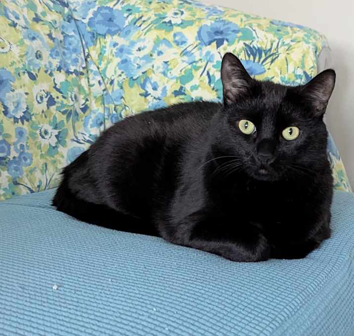 Photo of Marcus