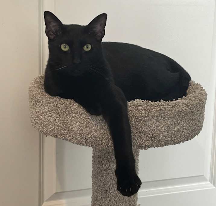 Photo of Squish