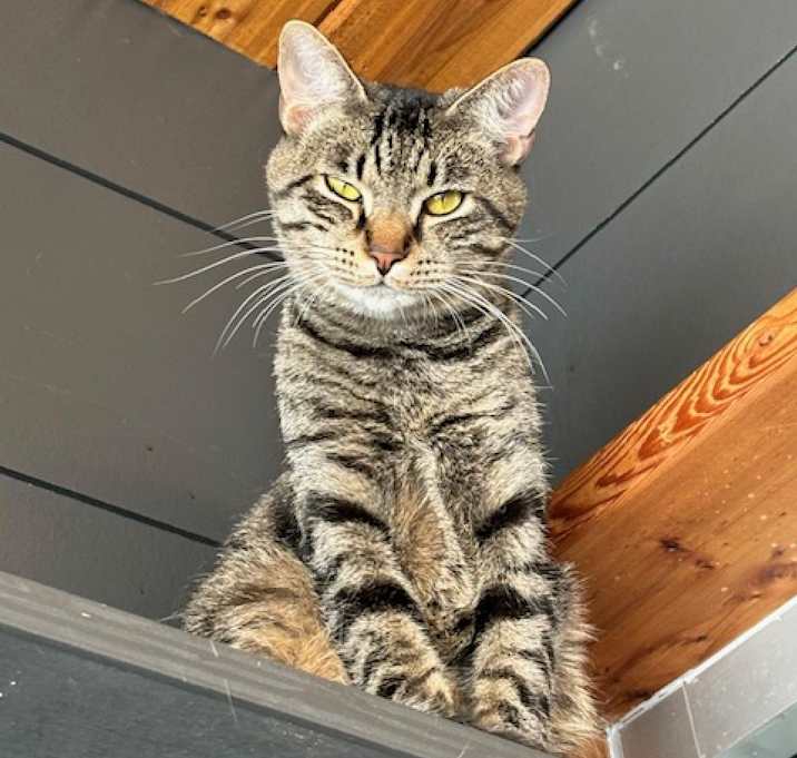 Photo of Smitty