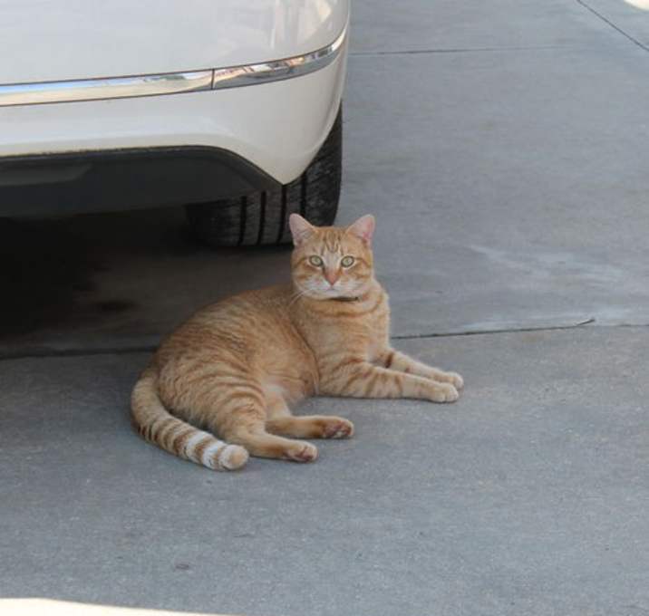 Photo of Dude