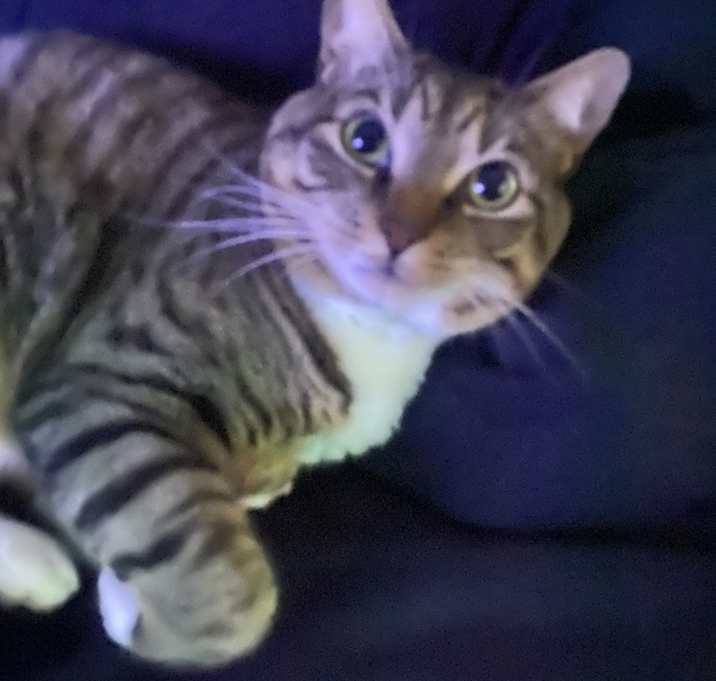 Photo of zara