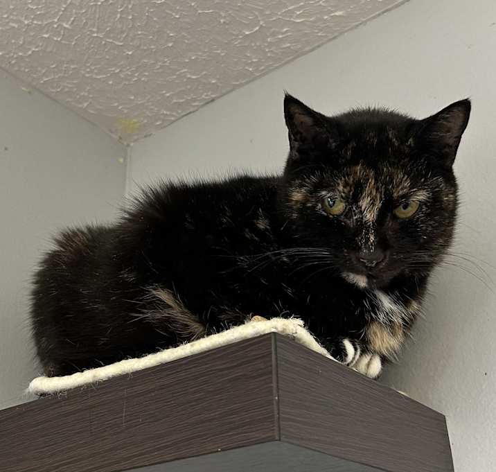 Photo of Olivia