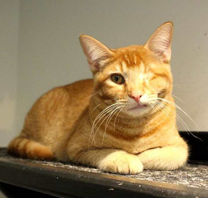 Photo of Anthony