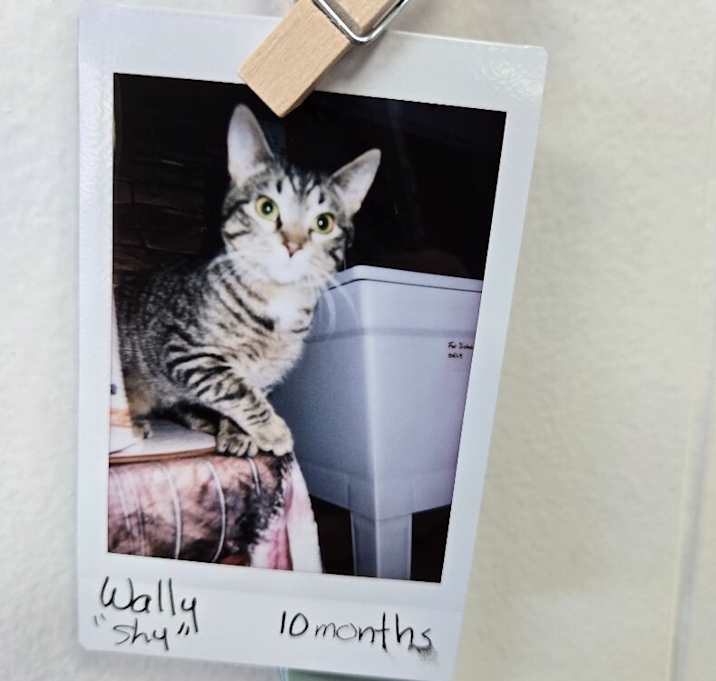 Photo of Wally