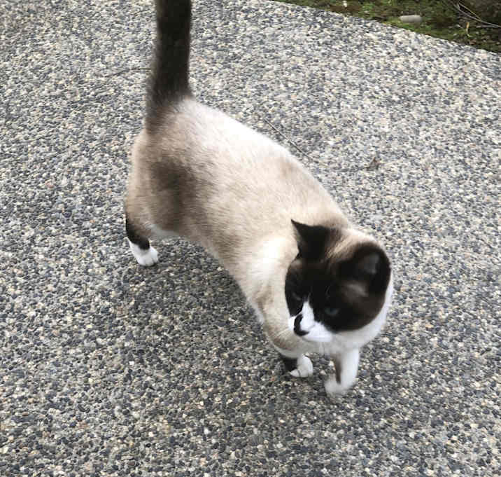 Photo of Needy