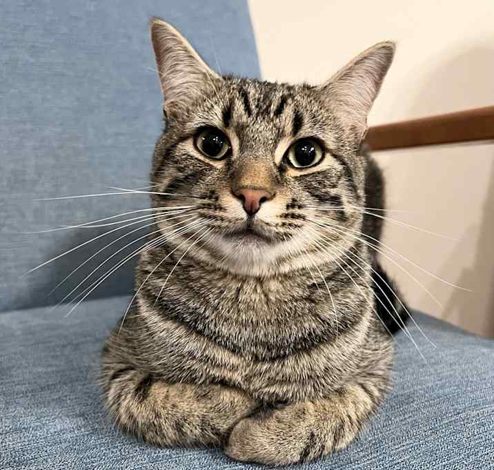 Photo of Eddie