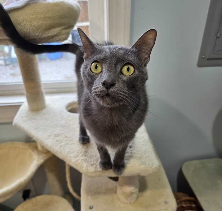 Photo of Dorian