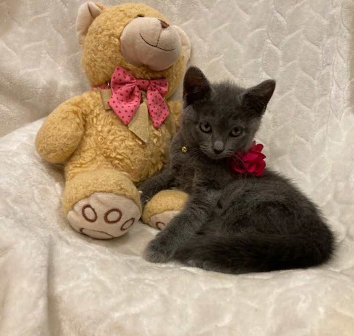 Photo of Bianca