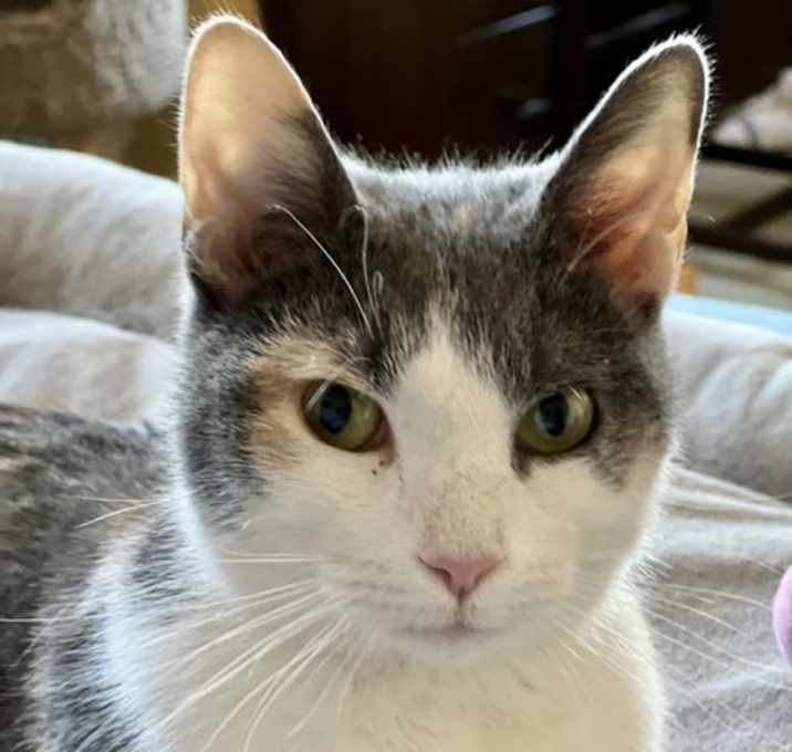 Photo of Rosie