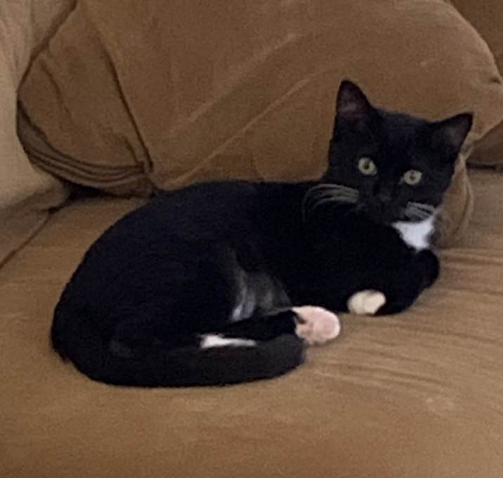Photo of Madame Sass