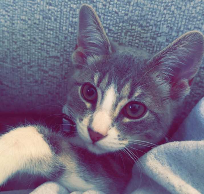 Photo of Callie and Zoe
