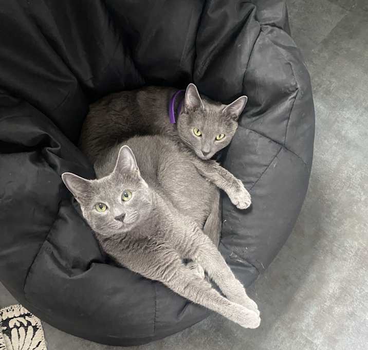 Photo of Fiddle and Banjo