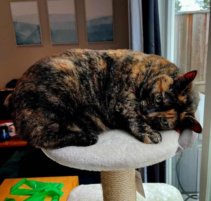 Photo of Chiquita