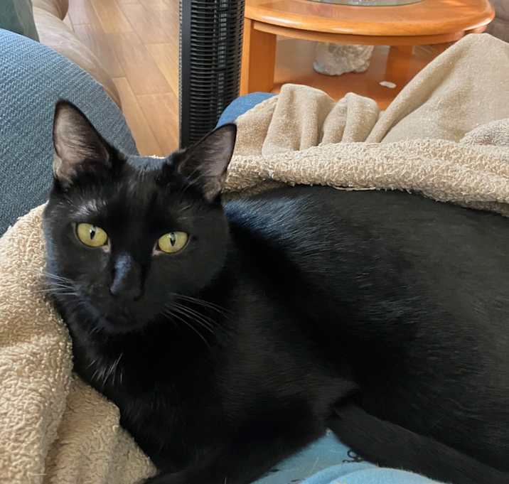 Photo of Windy
