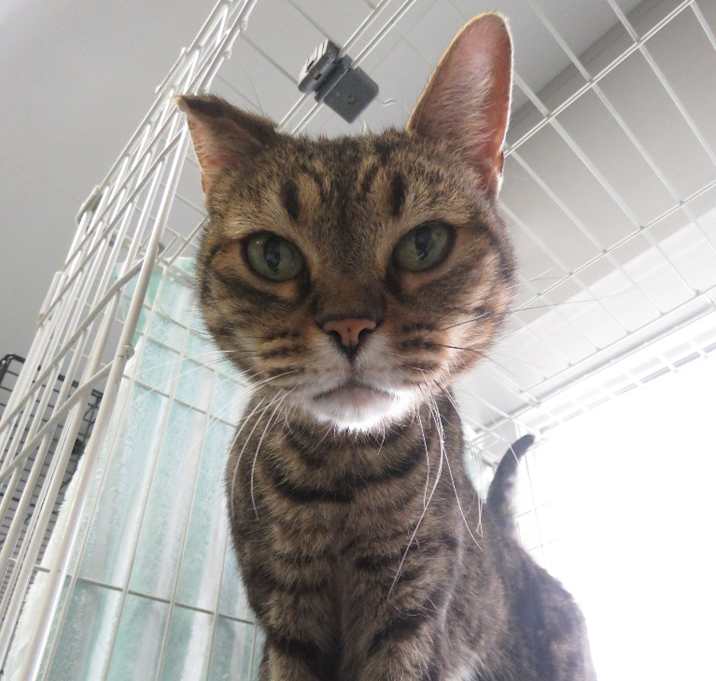 Photo of Zuke