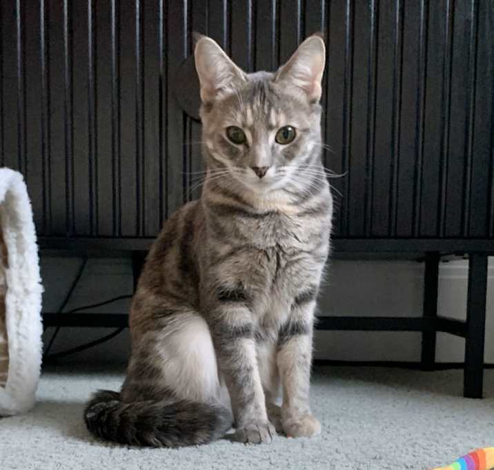 Photo of Isadora