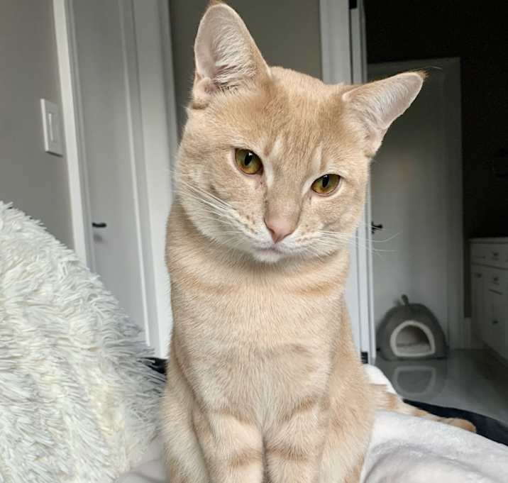 Photo of Captain