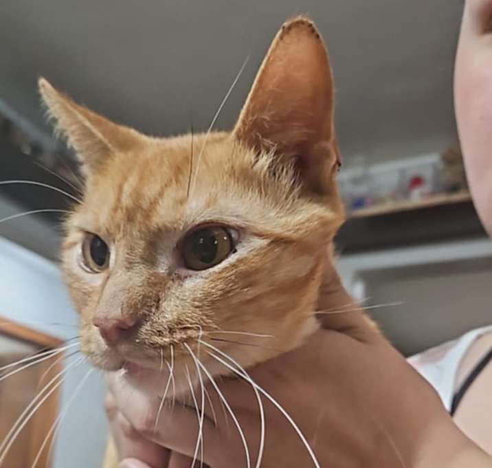Photo of Bandit