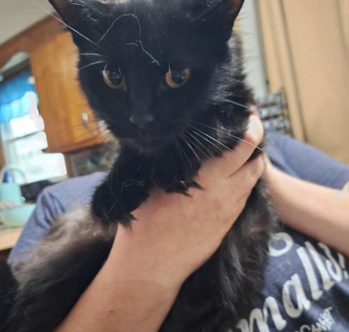 Photo of Smokey