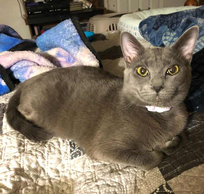 Photo of Misty