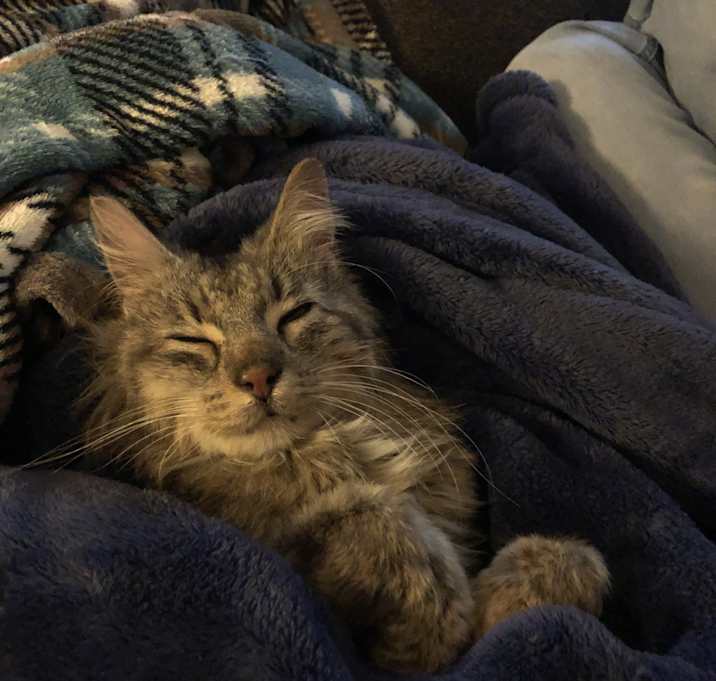 Photo of Pennie