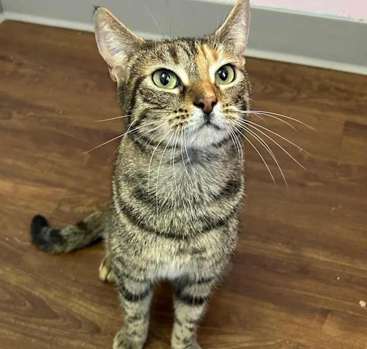 Photo of Catriona 