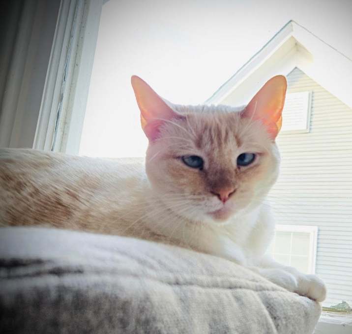 Photo of Ruthie