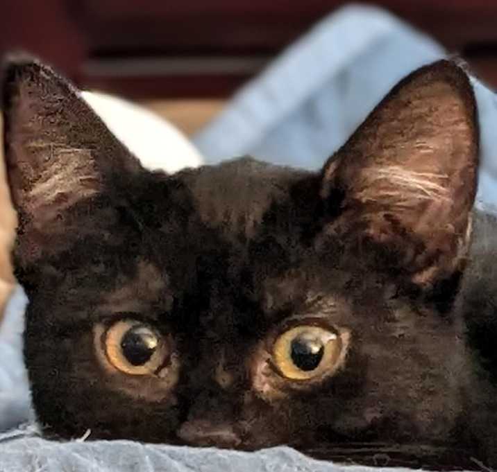 Photo of Ori (with OSO)
