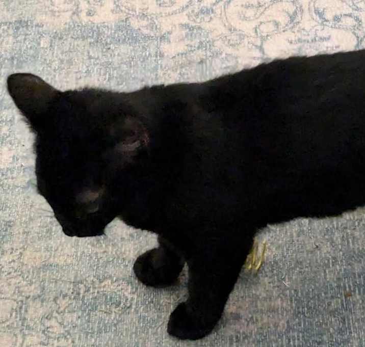 Photo of Oso (with Ori)