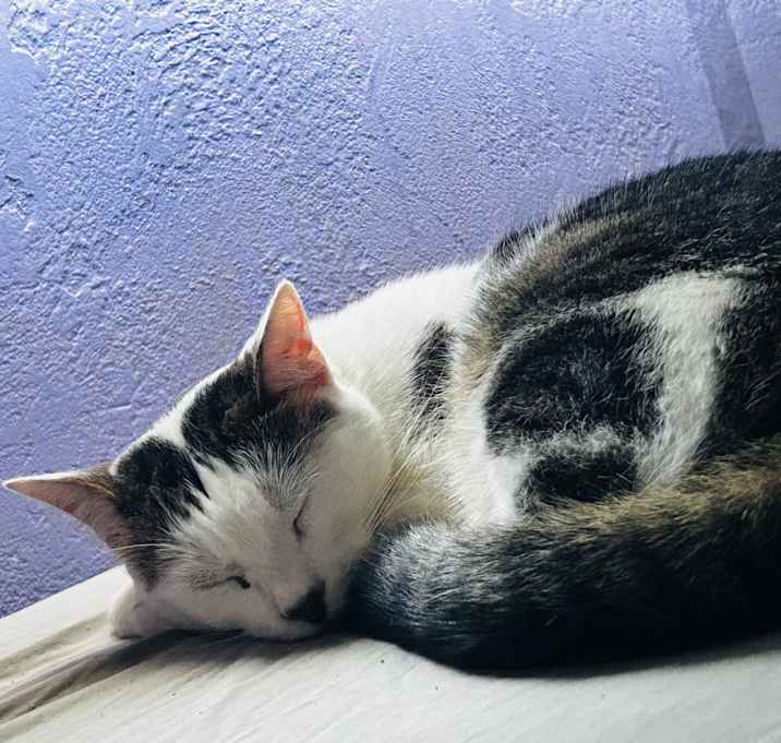 Photo of Bruni (sweet gal)