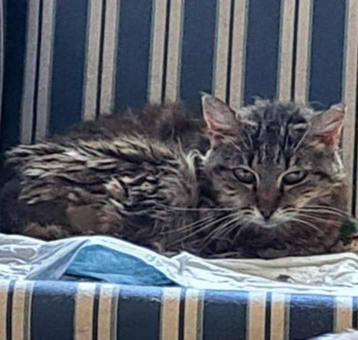 Photo of Winston