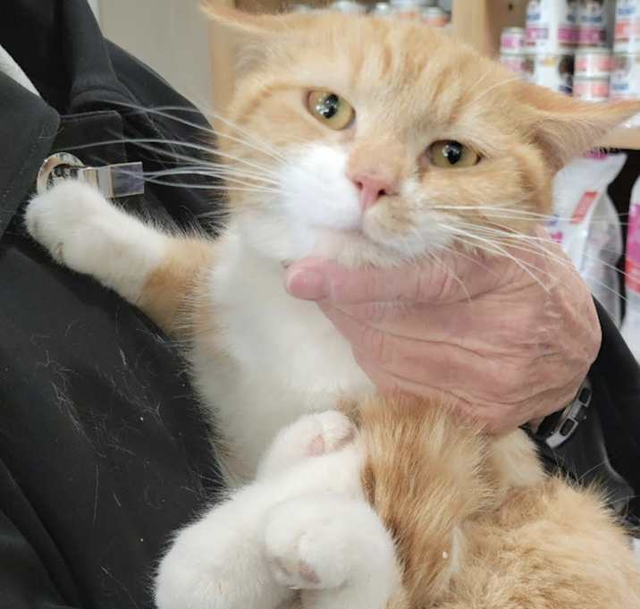 Photo of Timmy