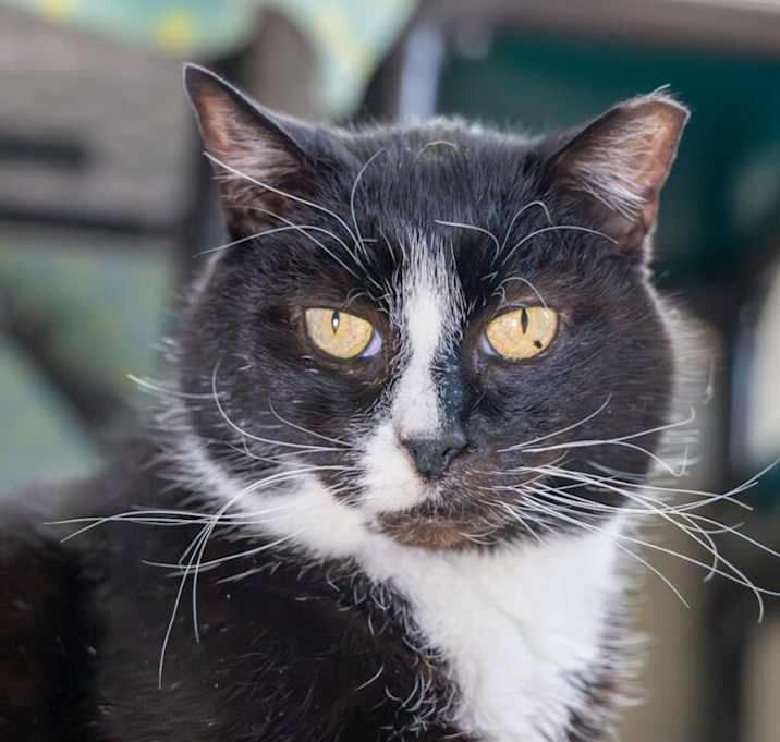 Photo of Charly