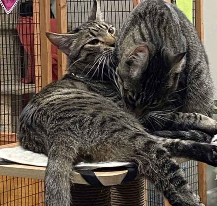 Photo of Tomas and Timmy