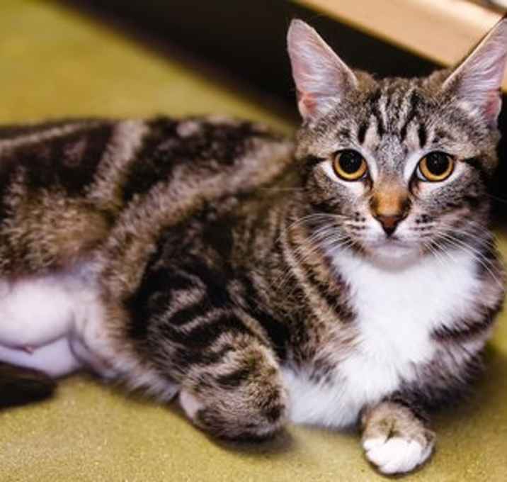 Photo of Fiona