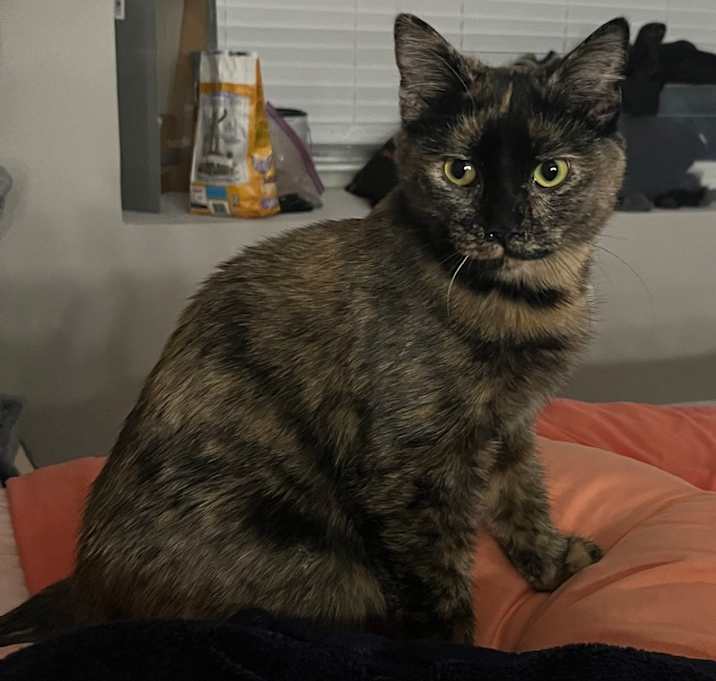 Photo of Prudence