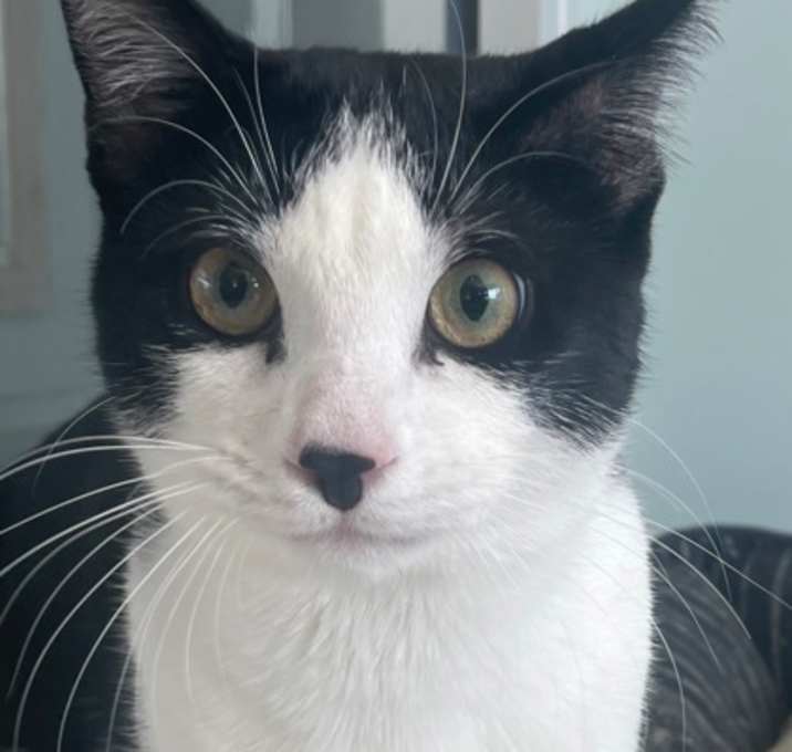 Photo of Ben