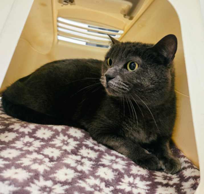 Photo of Mina 008260