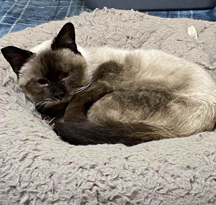 Photo of Aslana