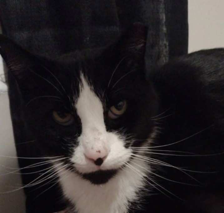 Photo of Squeaky