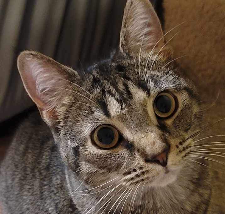 Photo of Avery