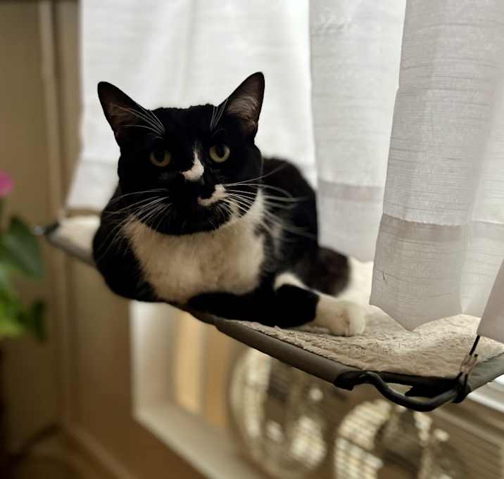 Photo of Doja
